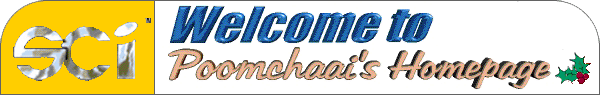 Welcome to My HomePage (9726 bytes)